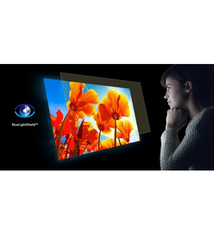 Acer Aopen 19.5 英寸高清背光 LED 液晶顯示器 - (VGA + HDMI) (黑色) - 20CH1QBI/EP