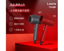 Japan Lowra Rouge moisturizing double negative ion electric hair dryer CL-301 series - CL-301 - Gray: 4897107660383