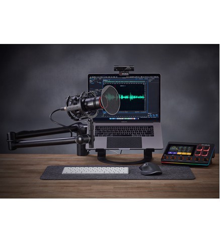 AVer 圓展科技 AM330 Live Streamer MIC 330 黑鳩動圈式麥克風 - AVerMedia XLR Microphone AM330 (Live Streamer Mic 330)