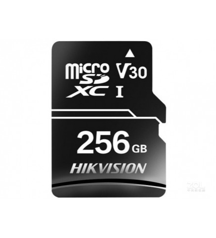 HIKSEMI Neo Home D1 V30 TF 卡 256GB[R:92 W:55]/microSD 記憶卡 - D1-256G