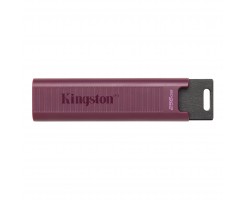 KingSton 金士頓 DataTraveler Max USB 3.2 Gen 2 系列隨身碟 USB-A 規格 256GB - DTMAXA/256GB