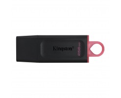 Kingston 金士頓 DataTraveler Exodia USB 隨身碟 256GB - DTX/256GB