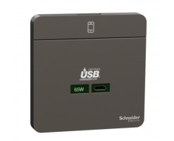 施耐德 65W USB 快速充電 type C充電插座, 石墨灰- E831USB65_DG