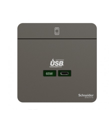 施耐德 65W USB 快速充電 type C充電插座, 石墨灰- E831USB65_DG