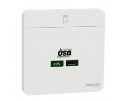 施耐德 65W USB 快速充電 type C充電插座, 搪瓷白- E831USB65_WE