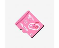 HIKSEMI City Fun G2 microSDXC Card for Switch 128GB [R:170 W:90]/microSD card - G2-128G