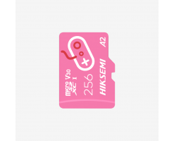 HIKSEMI City Fun G2 microSDXC 卡適用於 Switch 256GB [R:170 W:90]/microSD 記憶卡 - G2-256G