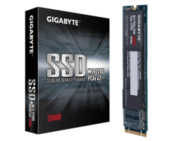 技嘉 GIGABYTE M.2 PCIe SSD 256GB固態硬碟 - GP-GSM2NE8256GNTD
