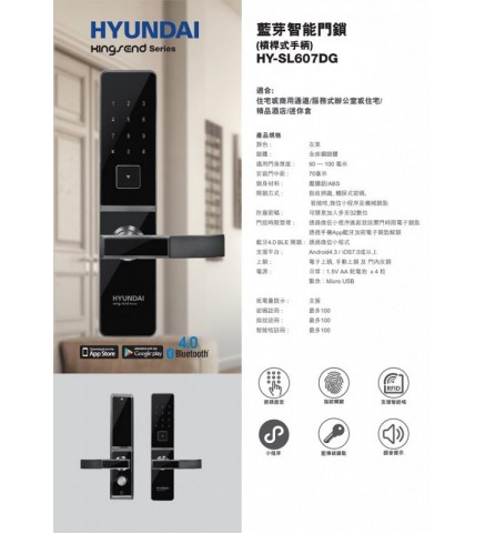 現代 HYUNDAI HY-SL607DG SMART LOCK - KINGSEND SERIES 智能鎖/智能門鎖 (4) - 102-82-HSL003-1