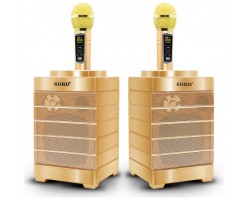 SDRD Wireless K-Song Artifact Double Duet Audio Combination - Gold - SDRD SD-128