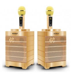 SDRD Wireless K-Song Artifact Double Duet Audio Combination - Gold - SDRD SD-128