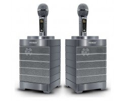 SDRD Wireless K-Song Artifact Double Duet Audio Combination - Silver - SDRD SD-128