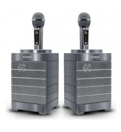 SDRD Wireless K-Song Artifact Double Duet Audio Combination - Silver - SDRD SD-128