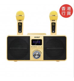 SDRD Wireless K-Song Artifact Double Duet Audio Combination Microphone Audio Set (Gold) - SDRD SD-309